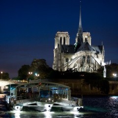 Seine Cruise and Illuminations Tour