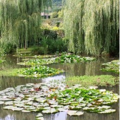 Giverny Minibus Tour