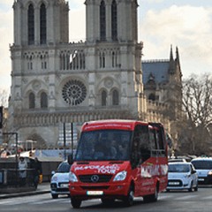 Paris Panoramic Tour and Cruise