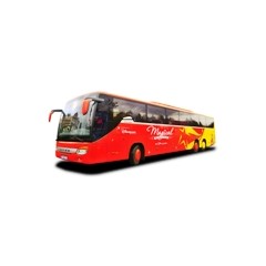 CDG Airport to Disney Bus Transfer