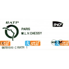 RER Paris to Disneyland (Marne la Vallée)